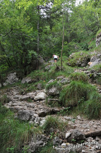 031 Periplo e vetta Monte Alben la Croce.JPG